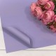Плёнка в листах 55*55 (20 шт.) матовая 