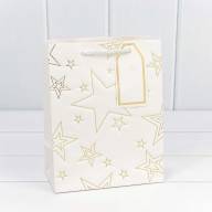 Пакет подарочный с тиснением &quot;Звёзды&quot; (микс) 18*23*10 210г 1/20 1/360 Арт: 300912E - Пакет подарочный с тиснением "Звёзды" (микс) 18*23*10 210г 1/20 1/360 Арт: 300912E